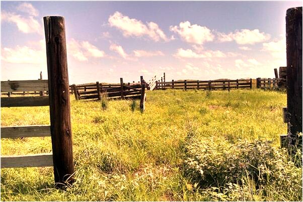 夢到別人抱著女兒有什麼徵兆_周公解夢官網