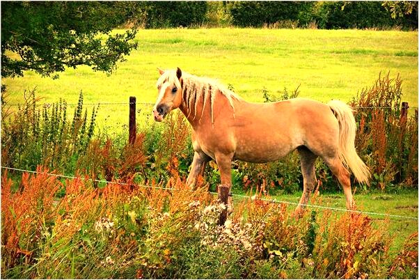夢到了做愛過程會怎么樣_周公解夢官網