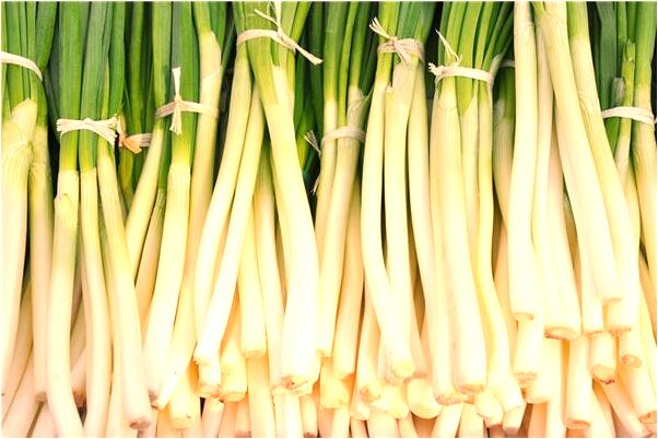 夢見人舔手有什麼意義嗎_周公解夢官網