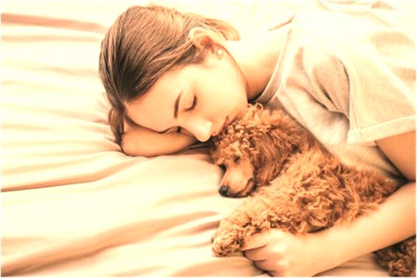 夢見未婚少女煙花是什麼徵兆_周公解夢官網