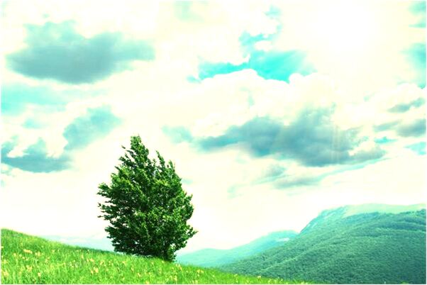 夢到在男廁所外面代表著什麼?_周公解夢官網