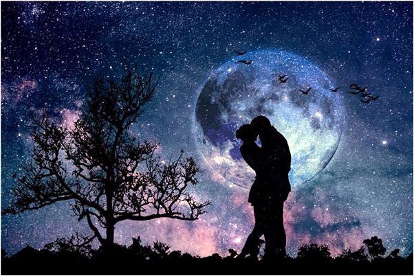 夢見一頭很兇的豬意味著什麼_周公解夢官網