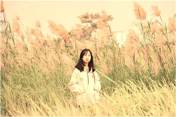 夢見鼻子和嘴出血是怎么回事_周公解夢官網