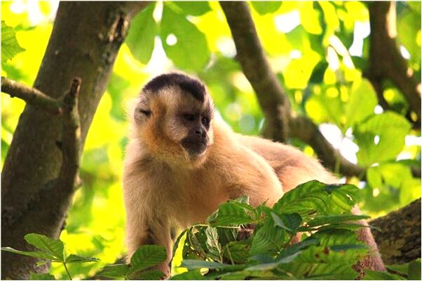 夢到夢兒子落水怎么說_周公解夢官網