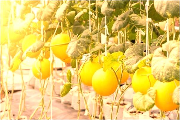 夢到凌晨來月經了好不好_周公解夢官網