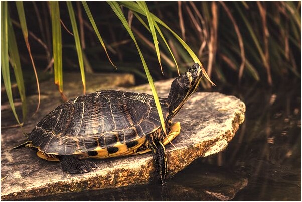 夢到了被人囚禁有什麼意思_周公解夢官網