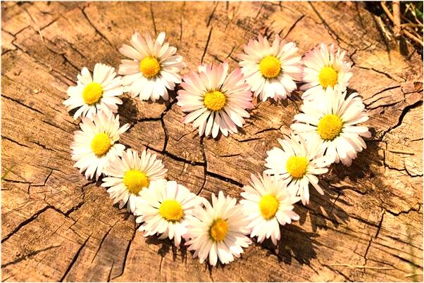 夢到了許多小魚衝出來是什麼預兆_周公解夢官網