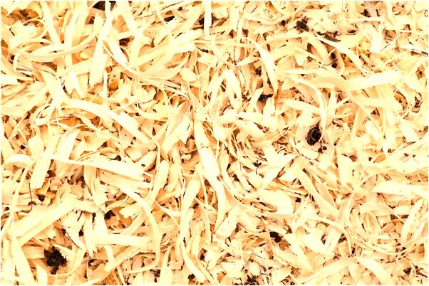 夢到床邊站有人是好事還是壞事_周公解夢官網