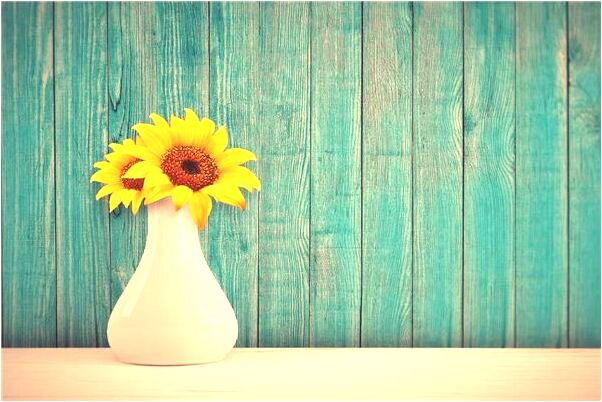 夢到竹枝時是好事還是壞事_周公解夢官網