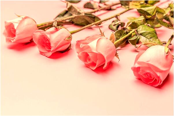 夢到了拉屎在自己的褲襠有什麼說法_周公解夢官網