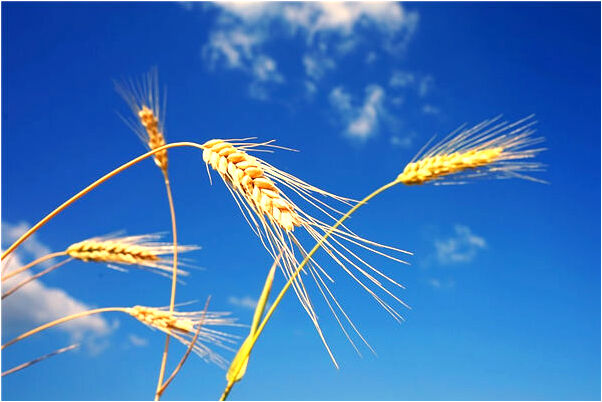 夢到提款機出錢是凶兆還是吉兆_周公解夢官網