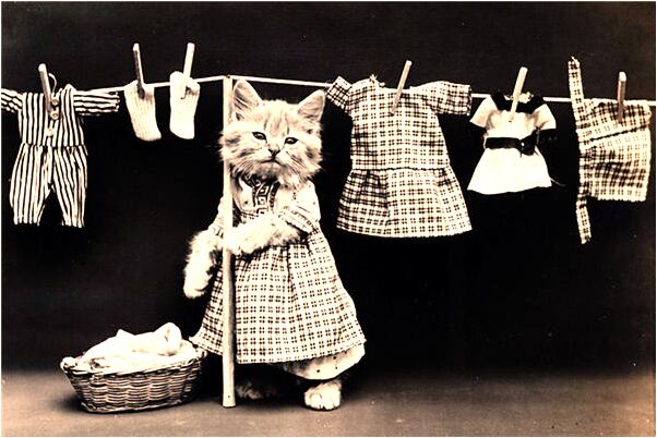 夢見被大白蛇吞了意味什麼_周公解夢官網