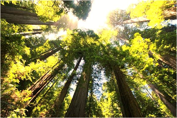 夢到結婚給別人沖洗什麼預兆_周公解夢官網