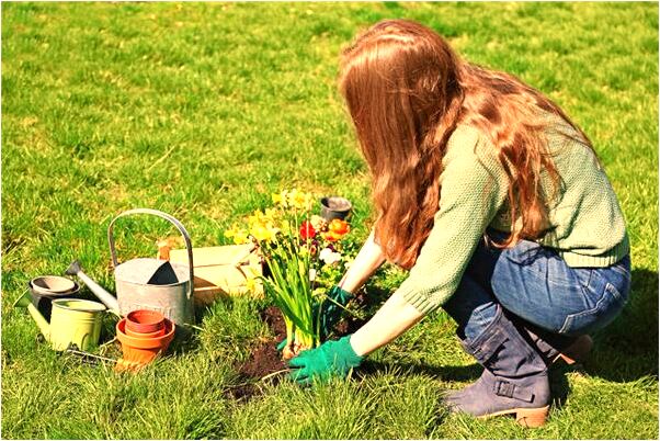 夢到了前男友上門牙掉了一顆是什麼啟示_周公解夢官網