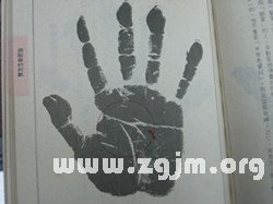 False palms palm diagram, men fake palms palm illustrations, women fake palms diagram of palms