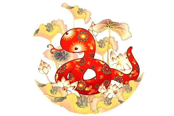 夢見自己懷孕了生個女兒是啥預兆_周公解夢官網