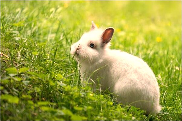 夢到自己被人追和被鬼俯身是啥預兆_周公解夢官網