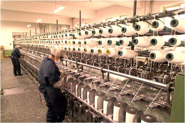 夢到受被貓咬流血怎么樣_周公解夢官網