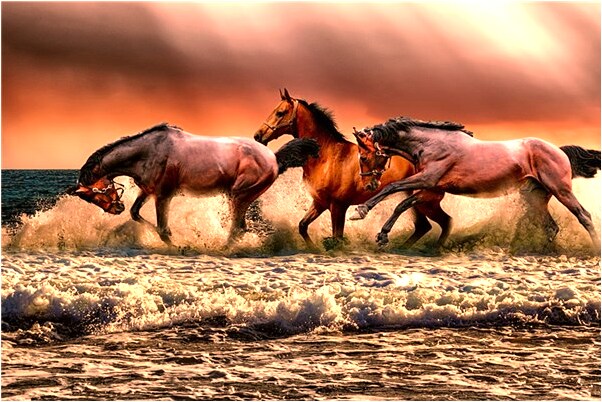 夢到六十塊有什麼預兆_周公解夢官網