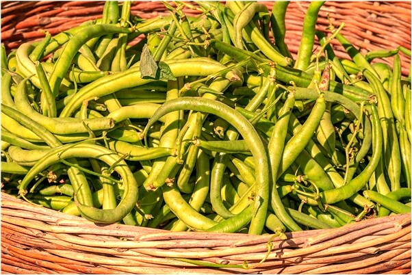 夢到墳頭上有水是什麼預兆_周公解夢官網