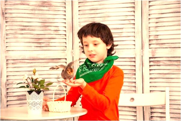 夢到了很紅的樹葉怎么說_周公解夢官網