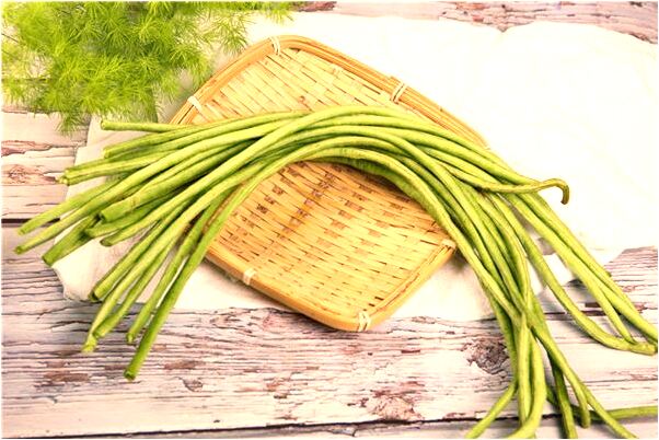 夢到有人往我身上仍蟲子預示什麼_周公解夢官網