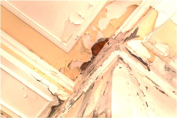 夢到朋友和她暗戀的人去看電影有何寓意_周公解夢官網