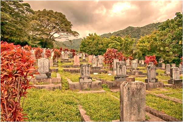 夢到了和同事一起吃飯就走怎么回事_周公解夢官網