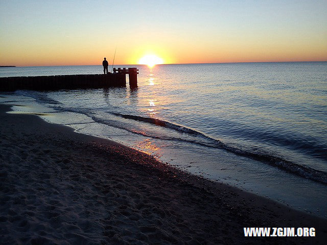 夢見養了很多雞_周公解夢夢到養了很多雞是什麼意思_做夢夢見養了很多雞好不好_周公解夢官網