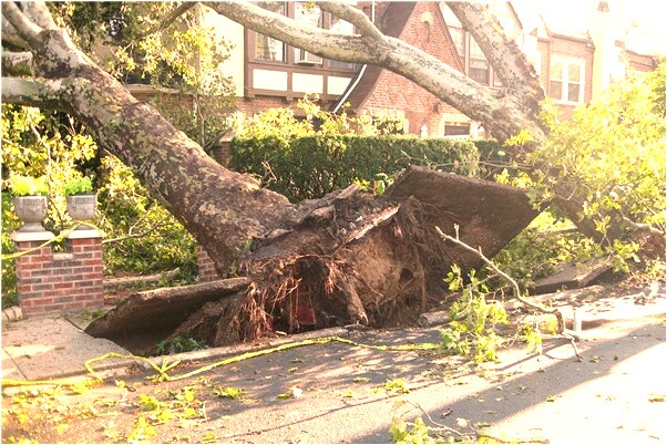 夢見臉上一直掛著笑容是凶兆還是吉兆_周公解夢官網