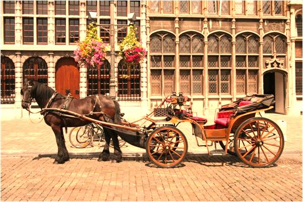 夢見掉下了土坡預兆了什麼嗎_周公解夢官網