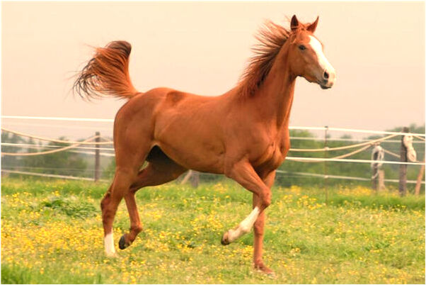 夢到了涓嬭濺是吉兆嗎?_周公解夢官網