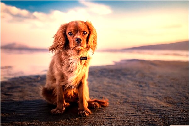 夢到了與男子作愛被看見是啥意思_周公解夢官網