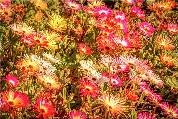 夢到找不到我老公了是啥預兆_周公解夢官網