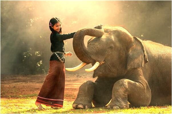 夢見自己做語文卷子是好的徵兆嗎_周公解夢官網