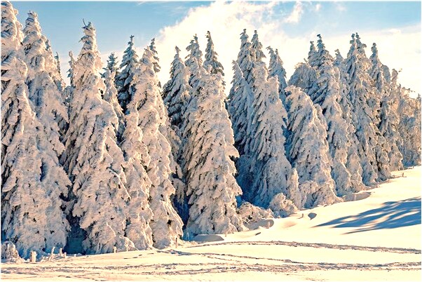 夢到了家裡人丟了怎么回事_周公解夢官網