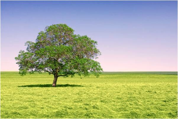 夢見很長時間沒見的表哥怎么回事_周公解夢官網