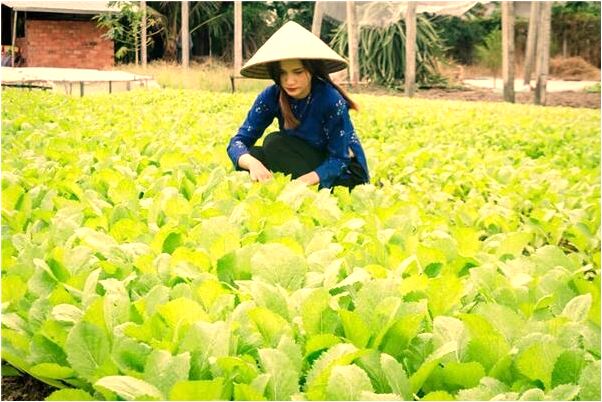 夢到了親人死了自己大哭代表什麼_周公解夢官網