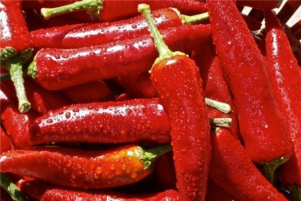 夢到爛辣椒是凶兆還是吉兆_周公解夢