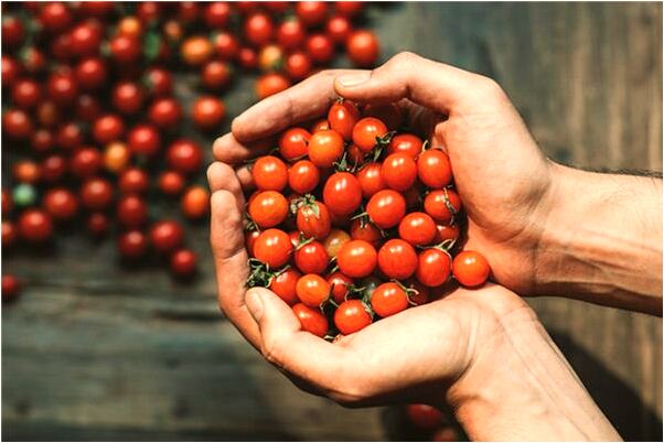 夢到大樹幹斷了有什麼意思嗎_周公解夢官網