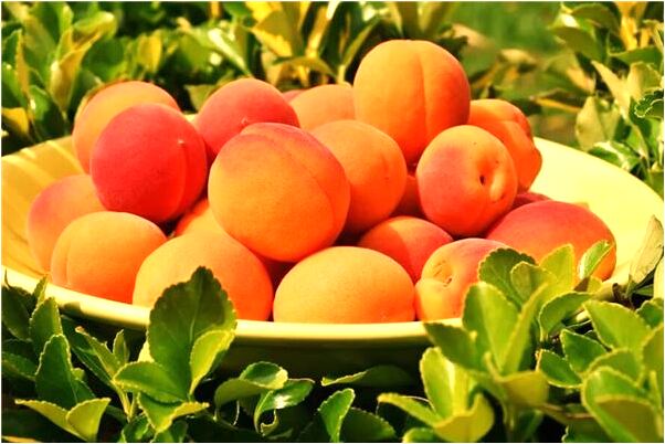 夢到了被趕出家門是什麼預兆？_周公解夢官網