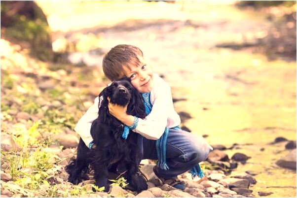 夢到到發桑的隊伍回來是什麼徵兆_周公解夢官網