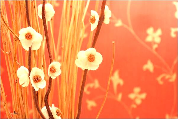 夢見獅子在我身邊我害怕預示什麼_周公解夢官網