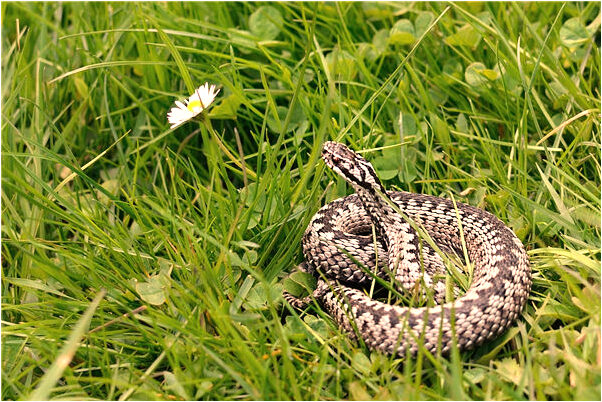 夢到垃圾污水鼻涕是什麼意思_周公解夢官網