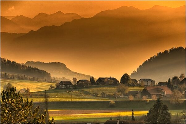 夢到了影公卡意味著什麼_周公解夢官網