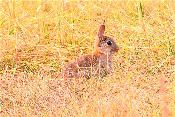 夢到最近總是做噩夢是什麼預兆_周公解夢官網