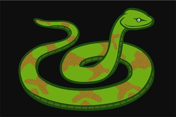 夢見斷頭蛇是什麼意思？_周公解夢