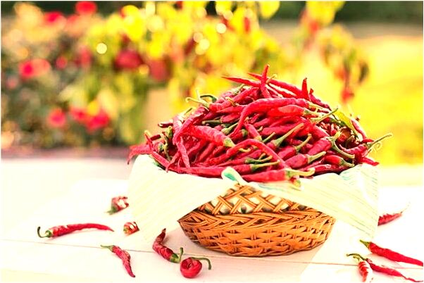 夢見救小於魚預示著什麼_周公解夢官網