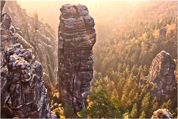 夢到母豬生小豬預示著什麼_周公解夢官網