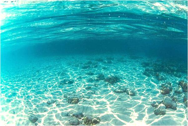 夢到玉佛發出綠光會怎么樣_周公解夢官網